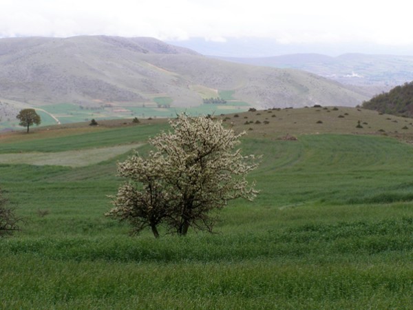 Landschaft  bei Kelli