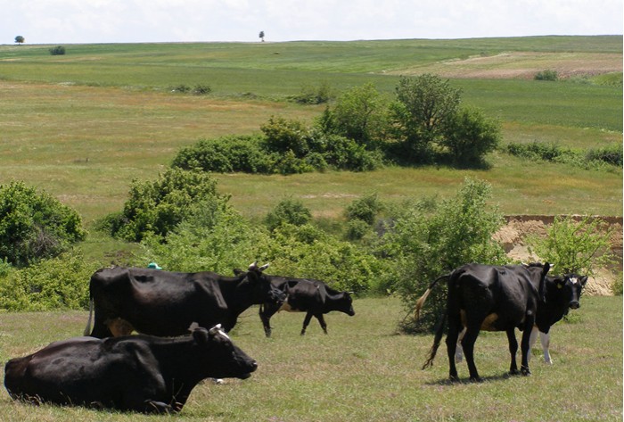 Thrakische Landschaft